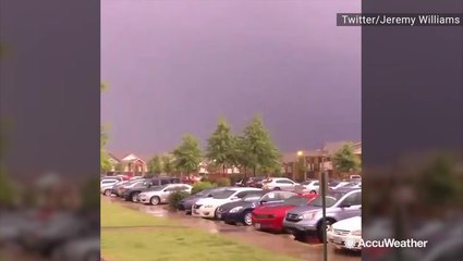 Make sure to stay away from any trees