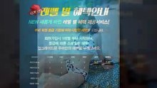 방패루비 RUBY♥♥루비문의 카톡: @ruby247♥♥방패루비 RUBY