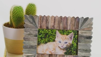 How to Be a Successful Leader in Your Industry