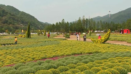 [날씨] 무르익은 가을, 남부 가을비...강원도 꽃 축제 개막 / YTN