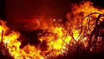 Bombeiros combatem grande incêndio ambiental na BR-277