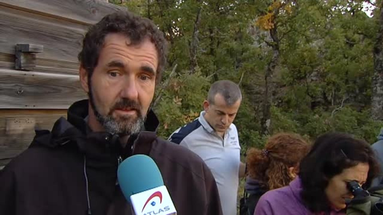 La berrea retumba en los montes