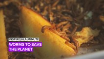 Inspire In A Minute: Growing mealworms at home