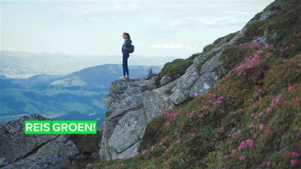 Hoe reis je zo duurzaam mogelijk?