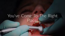 Dr. Maikel Segui, DDS - Root Canal in Coral Springs, FL (954-752-9065)