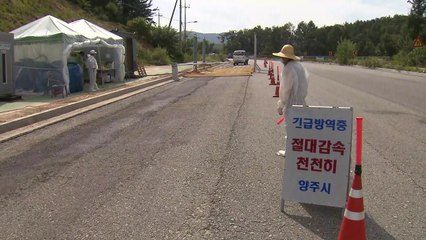 경기 양주서 또 의심신고...강화 살처분 시작 / YTN