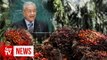 Dr Mahathir defends palm oil in UN address