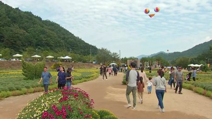 [날씨] 오늘 중부 늦더위, 남부 비...꽃 축제 한창 / YTN
