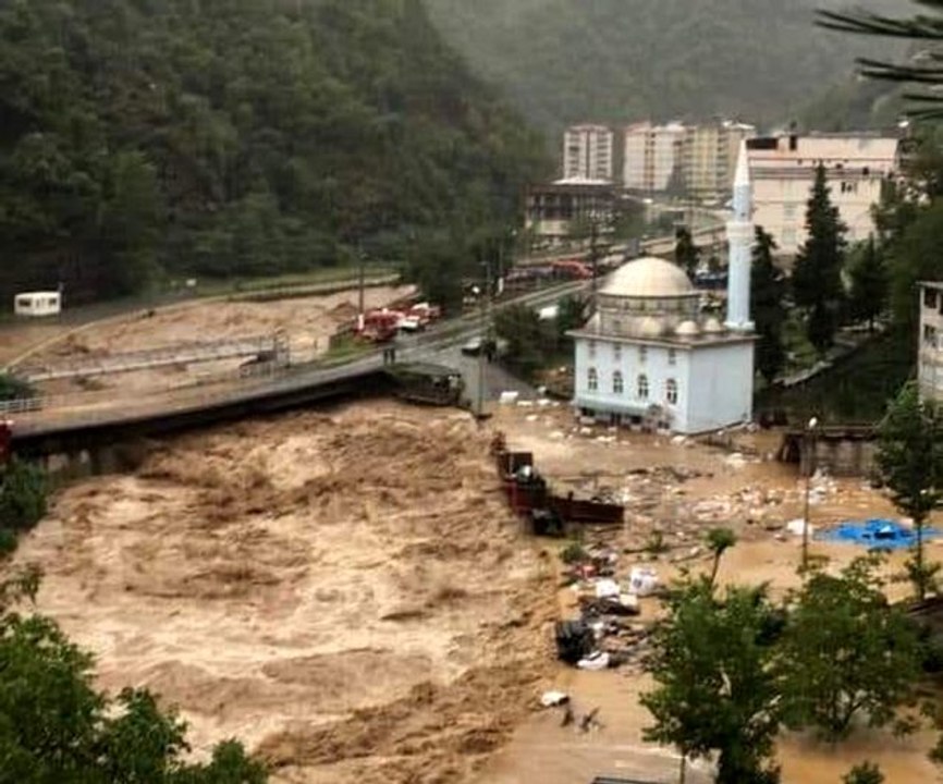 Artvin'in Borçka ilçesinde sel