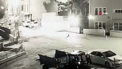 Aç kaldığı için şehir merkezine inen boz ayı kameraya yakalandı