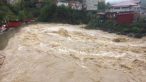 Artvin'de sel felaketi: Dereler taştı, yollar kapandı