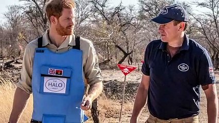 Prinz Harry wandelt auf den Spuren seiner Mutter Diana