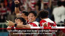 Fast Match Report - Japan v Ireland