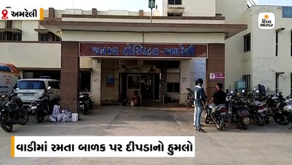 અમરેલીના ચાંપાથળમાં વાડીમા રમતા 6 વર્ષને બાળકને દીપડાએ ઉઠાવી ફાડી ખાધો