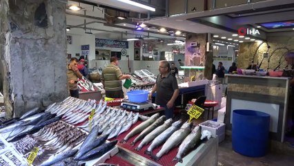 Hamsi bollaşmaya başladı, fiyatlar 10 TL'ye düştü