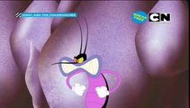 An Unwanted Castumar - Oggy And The Cockroaches - In HINDI - Animated Cartoon For Kids - As Seen On CARTOON NETWORK