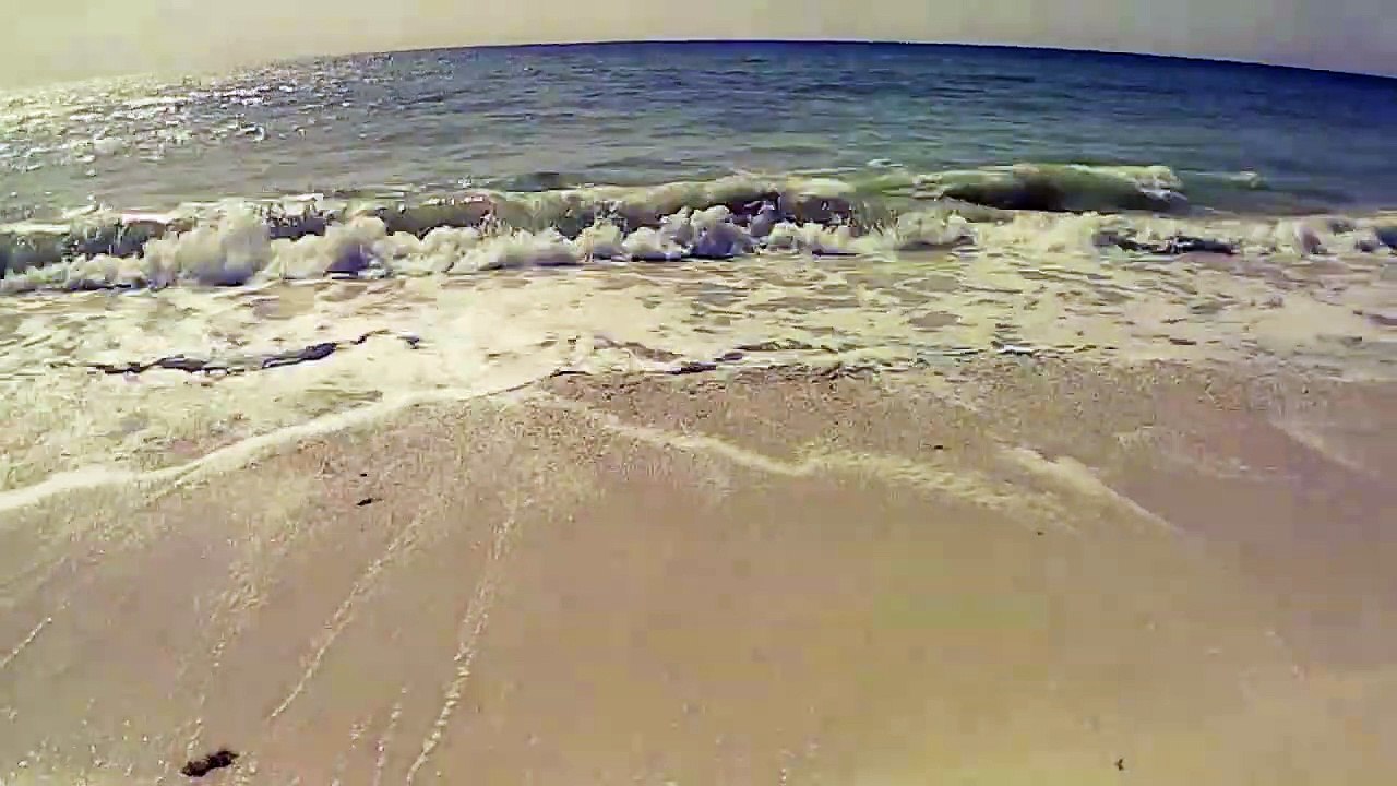 Echoes of our past - Tropical Sandy Beach