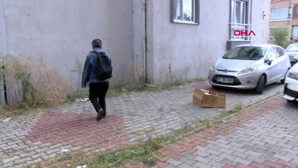 Bolu-beslediği kedilerin komşusu tarafından zehirlendiğini iddia etti