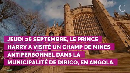 PHOTOS. Hommage à Lady Di : le Prince Harry particulièrement ému de marcher dans les pas de sa mère