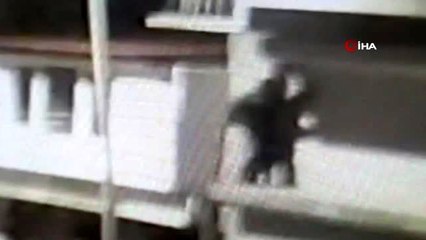 Önce iş yerini soydular, sonra 'Örümcek adam' gibi balkona ve aydınlatma direğine tutunup kaçtılar.