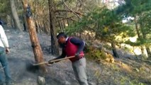 Sarıkamış'ta orman yangını - KARS
