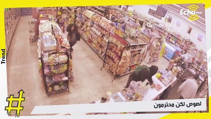 لصوص لكن محترمون.. دخلوا ليسرقوا ولكن شهامتهم أنقذت صاحب المكان من القتل