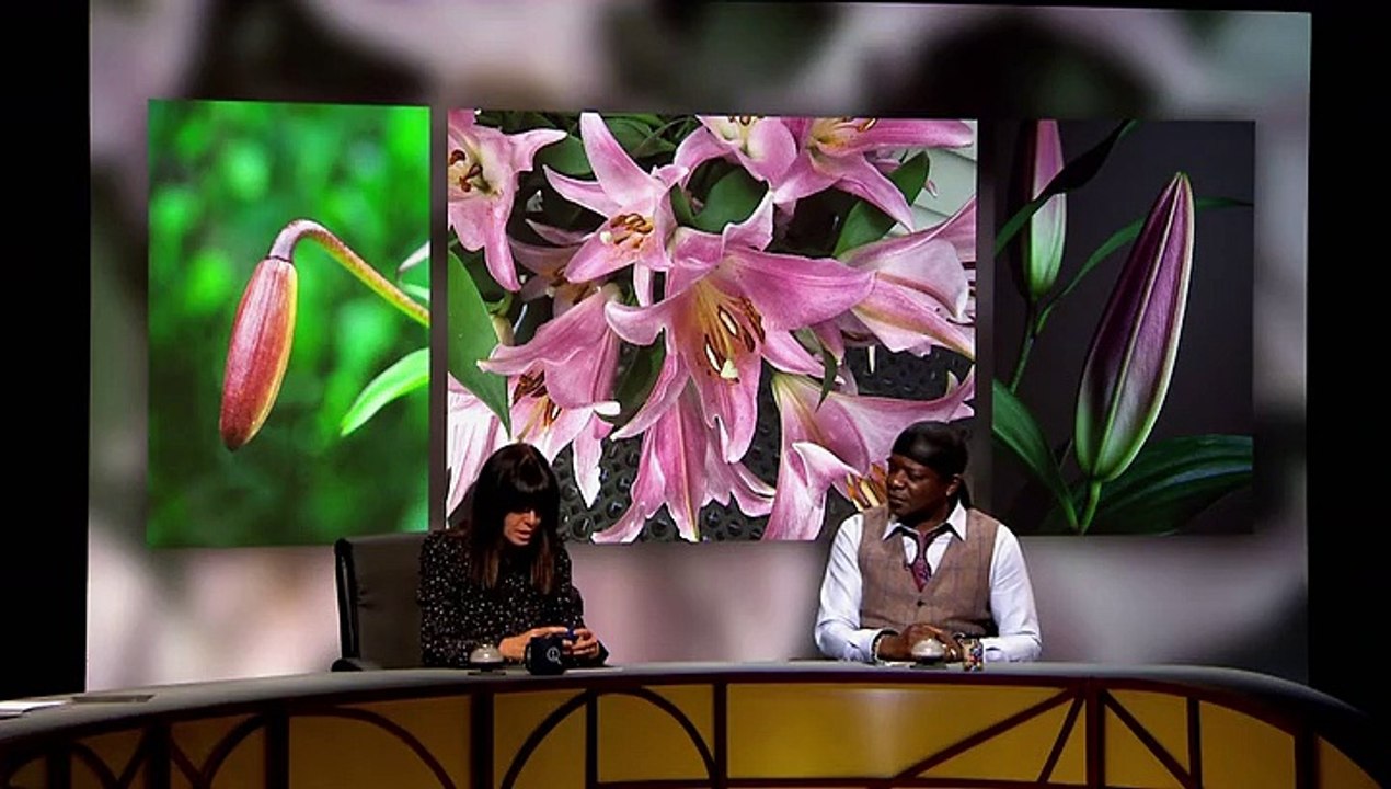 QI S17E04 Queasy Quacks