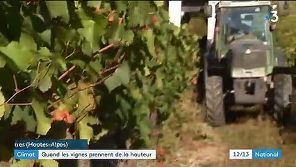 Climat : quand les vignes prennent de la hauteur