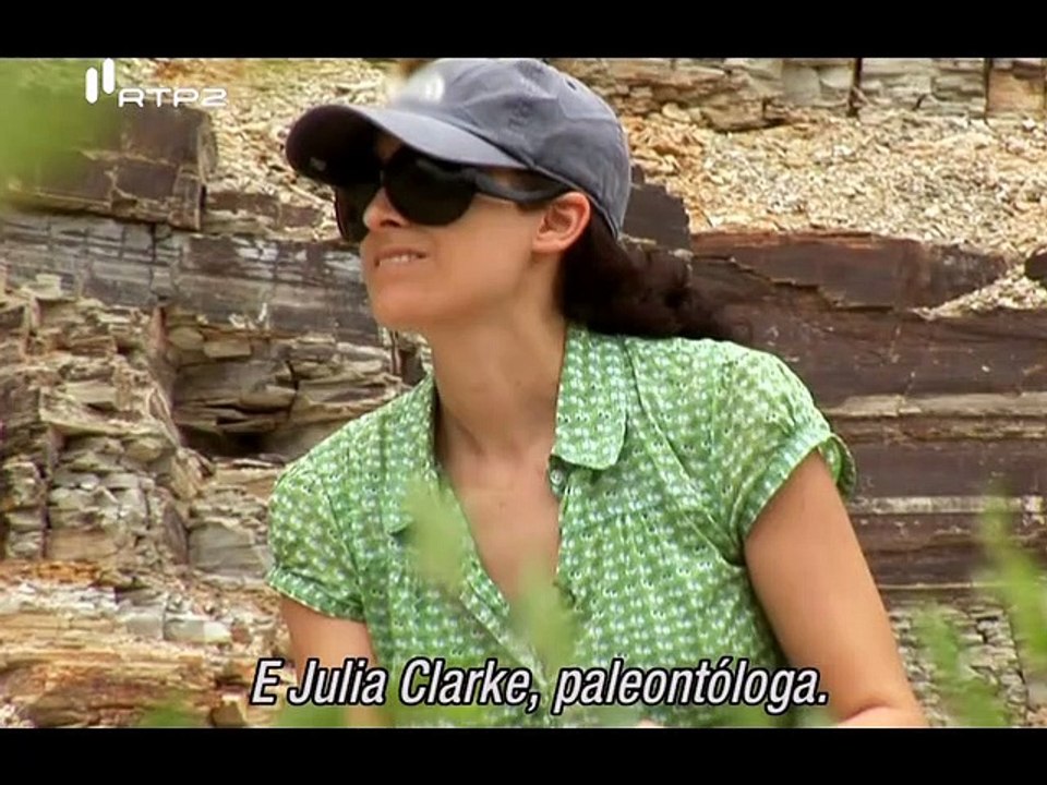 NATIONAL GEOGRAPHIC - OS VERDADEIROS DINOSSAUROS