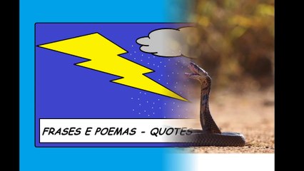 Eu ainda vou cuspir na sua cara, ter dito que não iria conseguir, perdedor! [Frases e Poemas]