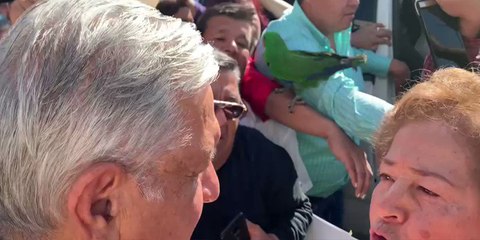 Una mujer le regala un periquito al presidente López Obrador arrojándolo en su vehículo