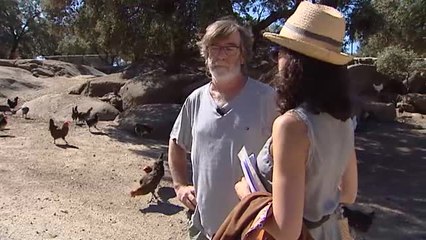 Un escultor se reinventa con una explotación de gallinas autóctonas