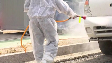 아프리카돼지열병 '잠잠'...양주는 모두 음성 / YTN