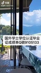 教留服学位学历认证Q/微9105133〈USF毕业证成绩单〉留信认证/南佛罗里达大学文凭毕业证成绩单,offer，雅思成绩单,在读证明,使馆认证(回国人员证明)UniversityofSouthFlorida