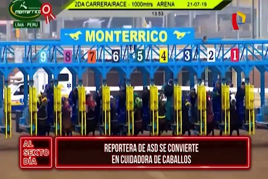 Reportera de ASD se convierte en cuidadora de caballos de pura sangre