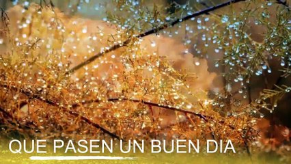 Conoce El Tiempo de Hoy Domingo 29 de Septiembre de 2019