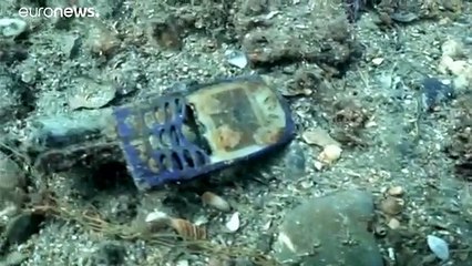 Mediterraneo: emergenza microplastiche