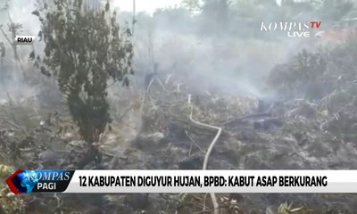 BPBD Riau: Kabut Asap Berkurang