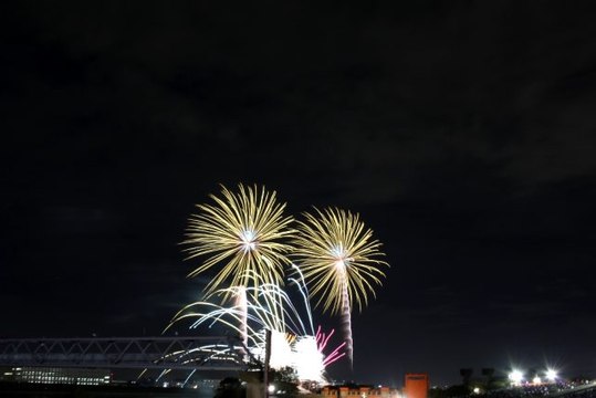 Tokyo'da havai fişek festivalinden renkli görüntüler