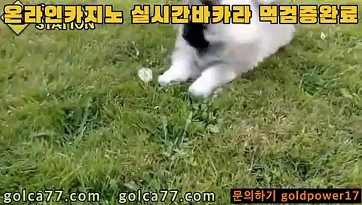[#뮬라웨어만원의행복시즌2]       #ㅂㅏㅋㅏ라승ㄹㅣ법       #ㅂㅏ카라따는법...