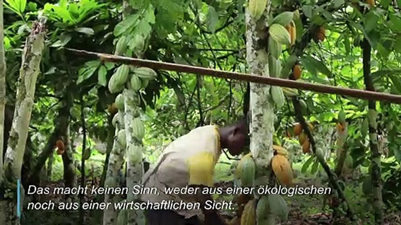 Schokolade mit gutem Gewissen genießen