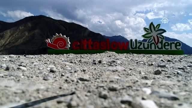 Doğa harikası Tortum Şelalesi ziyaretçilerini cezbediyor