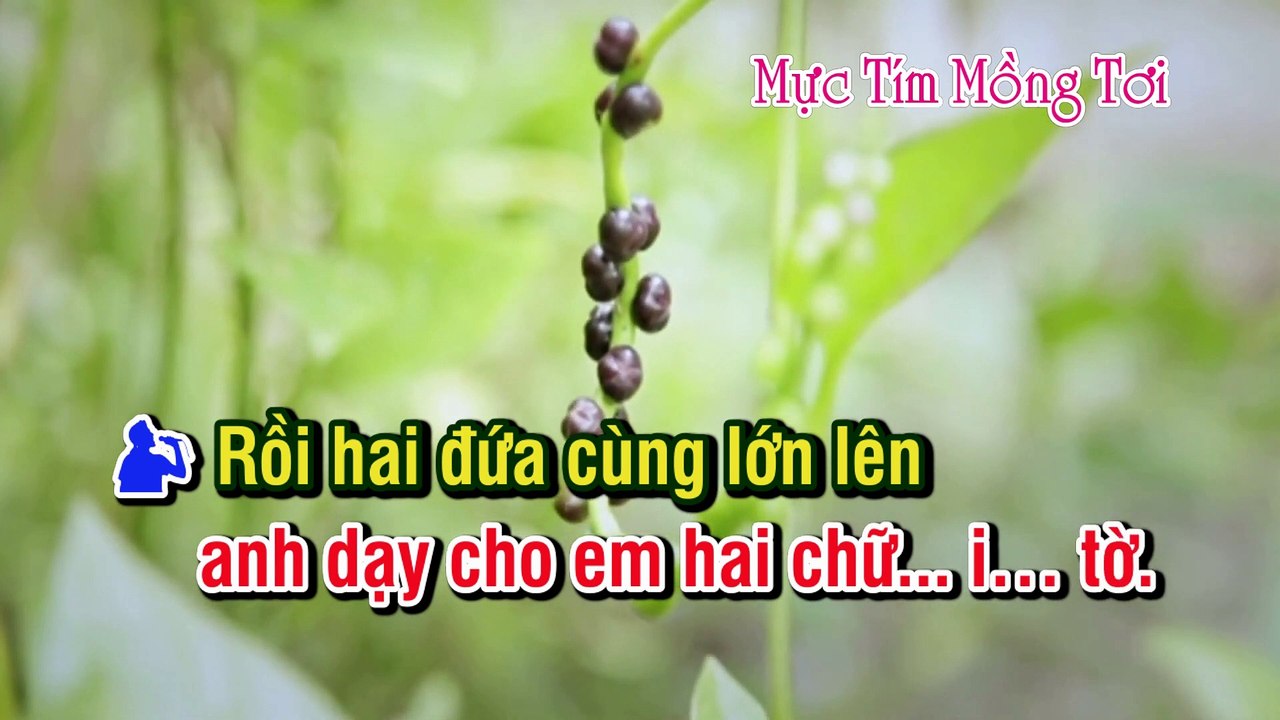 MỰC TÍM MỒNG TƠI - Hàn Châu - Vinh Sử KaraOke Tân Cổ Song Ca