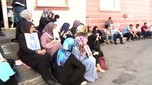 Tarihçi yazar Prof. Dr. Şimşirgil'den HDP önünde eylem yapan ailelere destek ziyareti