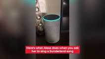 Amazon Echo: This is how Alexa  deals with the Sunderland accent