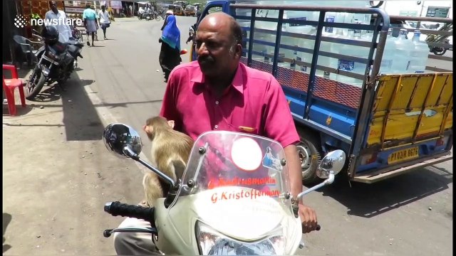 Wild monkey adopted by human family goes for bike rides in southern India