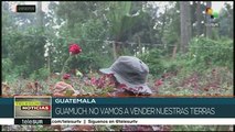 Guatemala: mayas denuncian invasión de tierra por parte de empresa