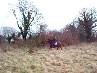 Indien Nono Léa Camille Clem et Mimi et Coquette 015