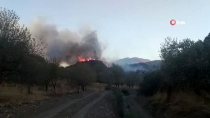 Datça'da üç farklı noktada yangın çıktı