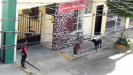 Avenida Ignacio Zaragoza | Mazatlán | 27 de Septiembre del 2019